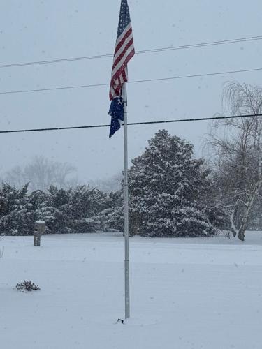 Theresa Reid Harrington.jpg