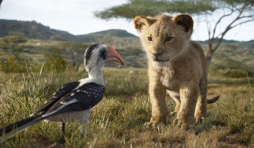 Movie Review – The Lion King (2019)