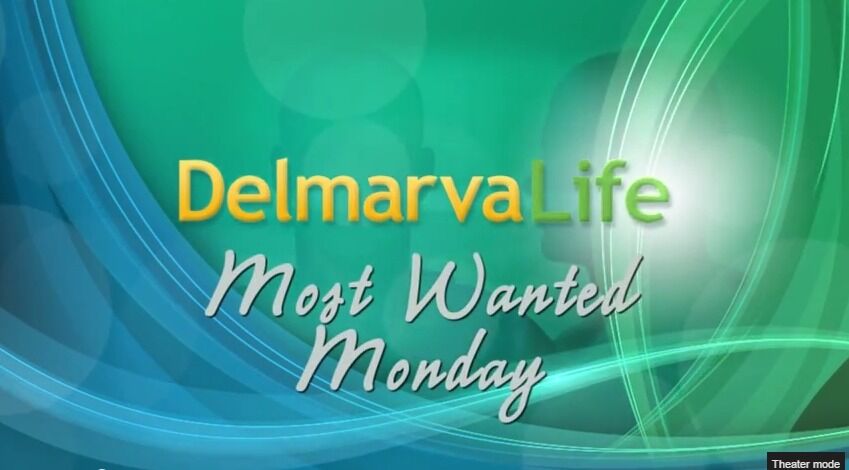 Most Wanted Monday   Monday  January 19  2015   YouTube