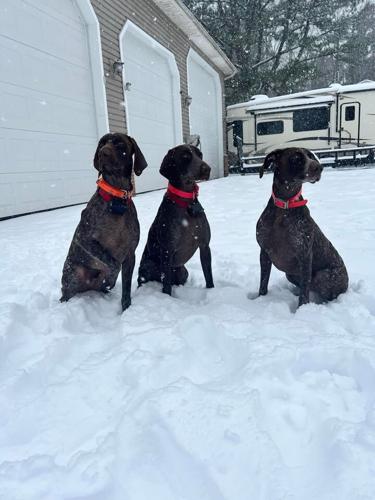 Tina Potter Doak Parsonsburg.jpg