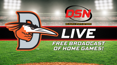 DSN Shorebirds Partnership