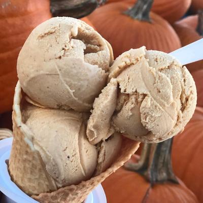 118593646_1261003220900077_7125451654295378522_o