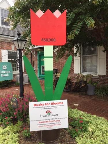 117529704_10160340897792576_7932753819594432581_n