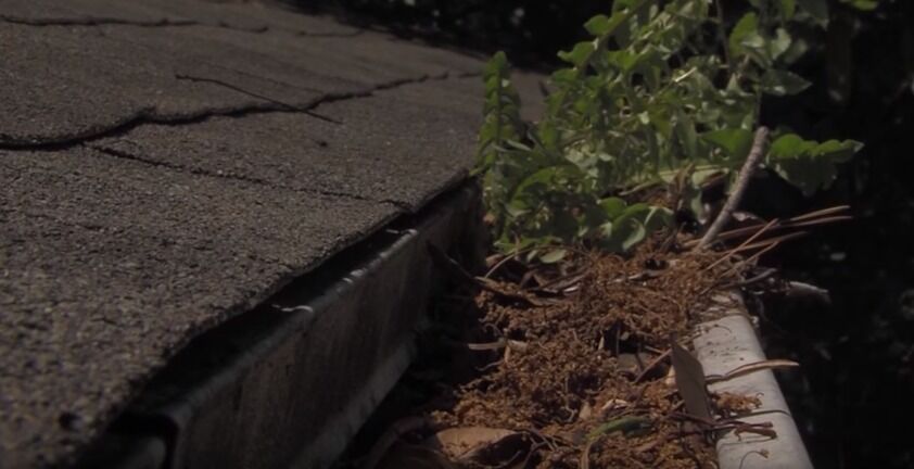 peninsula-roofing-gutter