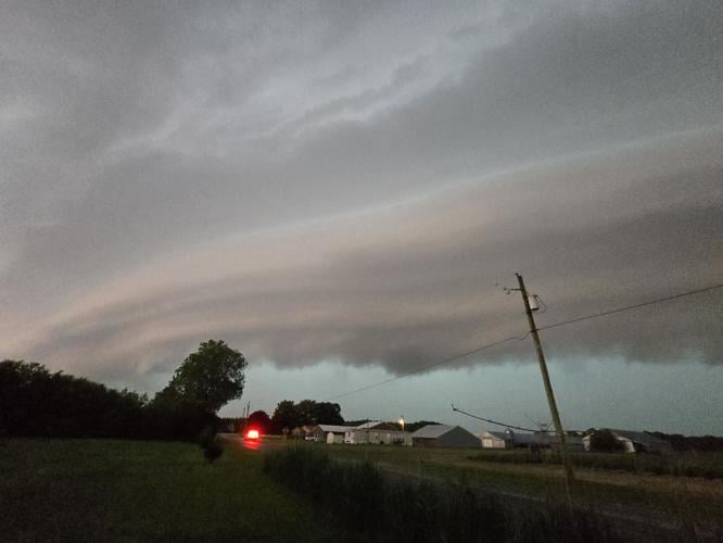 SKIES LAUREL.jpg