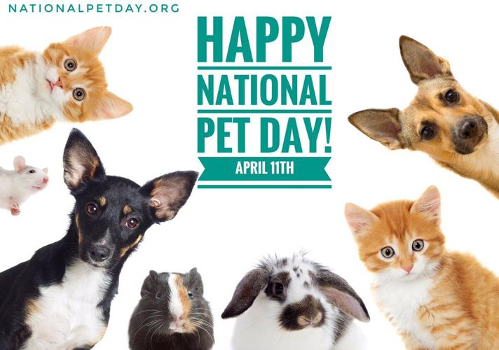 NATIONAL-PET-DAY