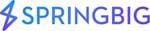 Springbig Completes Reorganization, Eliminating Approximately $12.5 Million of Secured Debt and Positioning SBIG to Explore Strategic Alternatives