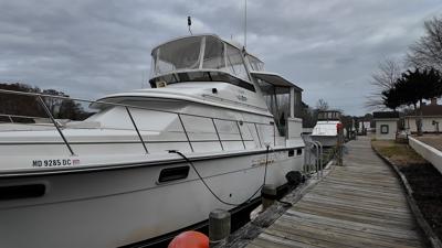 Docked Boats