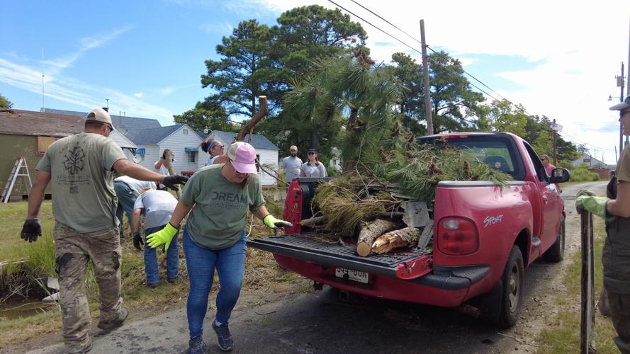Trees in Truck bed