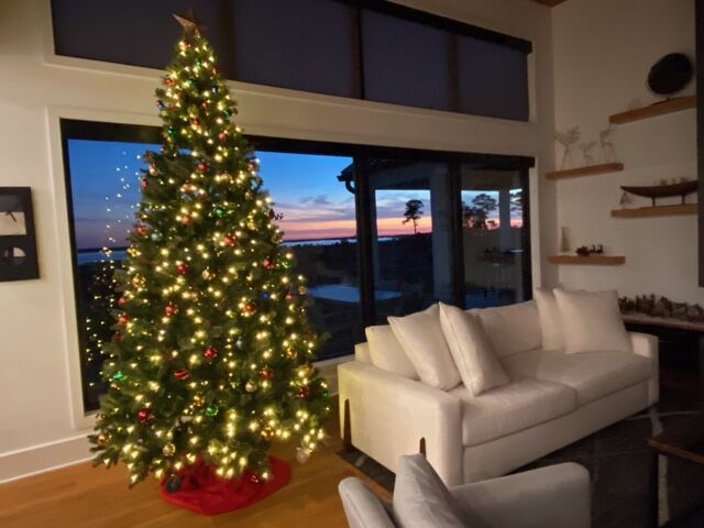 The Christmas tree of Lou Ann Carroll of Millsboro, Del.