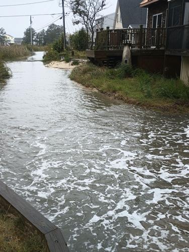 Ophelia Impacts Dagsboro