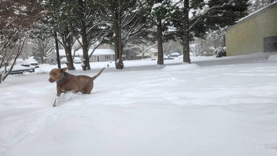 Ryan Seymore Easton.jpg