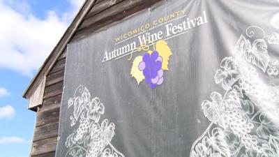 Autumn Wine Festival Returns on Saturday