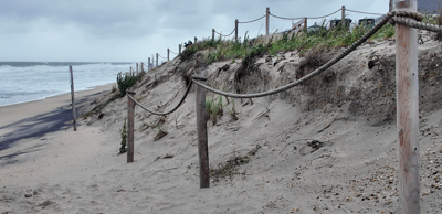 Erosion on dunes in Bethany Beach as the shoreline creeps closer.