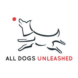 All Dogs Unleashed OKC Helps Newly Adopted Shelter Dogs Settle Through Two-Week Board and Train Program