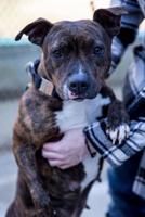 bust1516409929width500-x