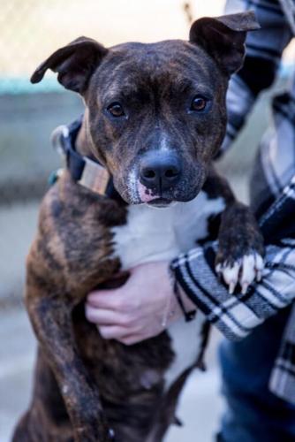 bust1516409929width500-x