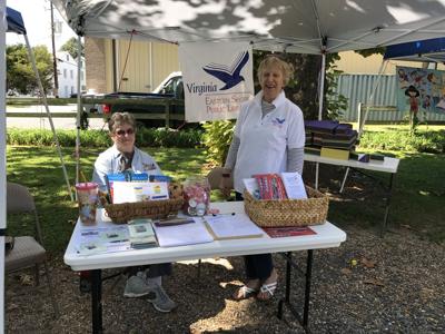 Library volunteers