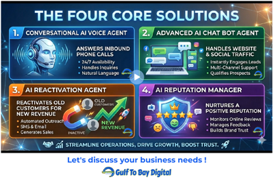 Local SEO, AI Automations, Web Design for Small Businesses in Pinellas county