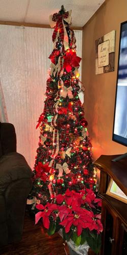 Shawn and Tracey Hughes, Millsboro