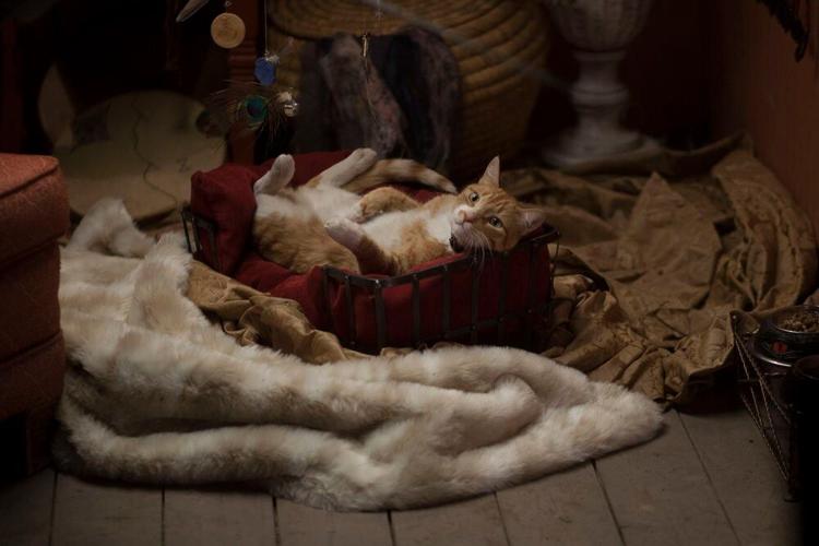 TV Review – Midnight, Texas