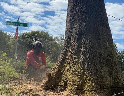 Grant Brothers Urges Homeowners to Inspect Trees Before Severe Weather Arrives
