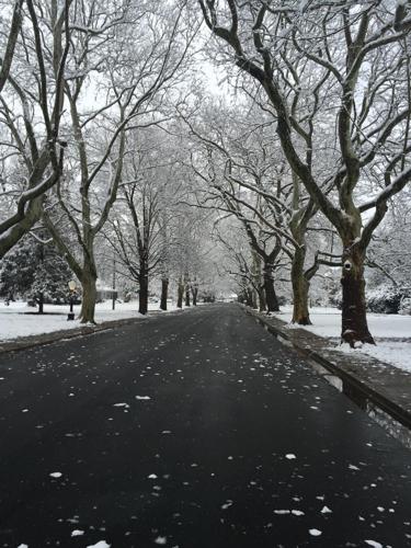 Cambridge Photographers and Plow Crews Delighted With Snow Storm