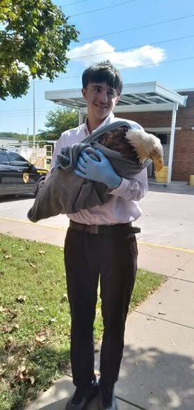 The bald eagle as shown above was rescued from U.S. Route 50 near the Route 301 split 