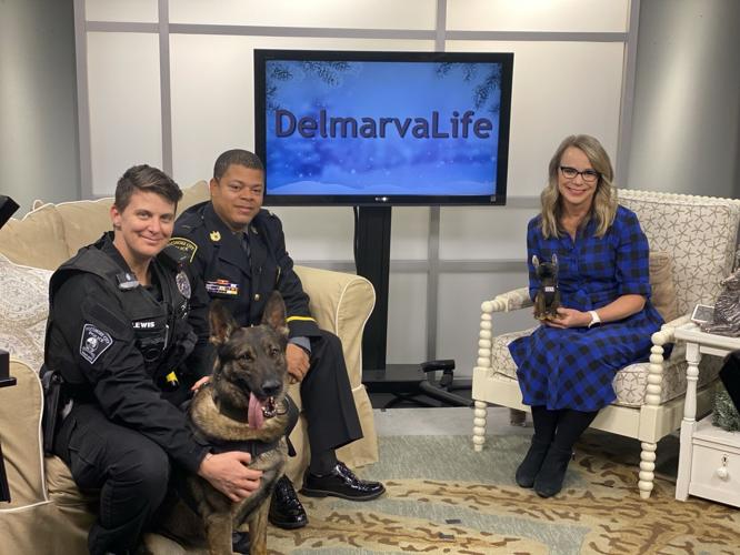 Pocomoke City Police Dept.