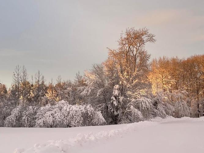 Jessica Schumann Georgetown.jpg