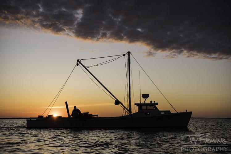 Island Life – Spring 2020 – © Jay Fleming02