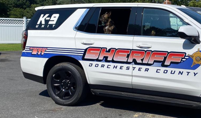 Dorchester County Sheriff car
