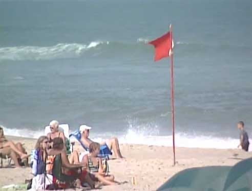 Assateague State Park Scores High on Beach Report