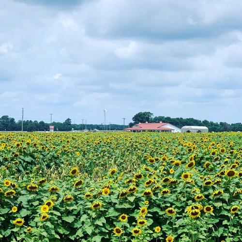 109933658_3425242347488006_8011254851638580388_n