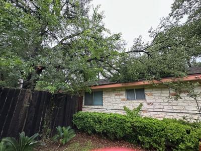 Box Tree Care Maintains Emergency Response Readiness Following Severe Storm Damage in Central Texas