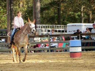 Photo: Delmarva Coonhunters Association