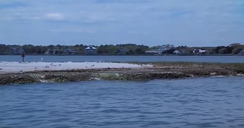 Maryland Coastal Bays’ health receives highest-ever grade in annual report card