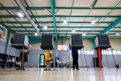 Election 2026 Noncitizen Voting