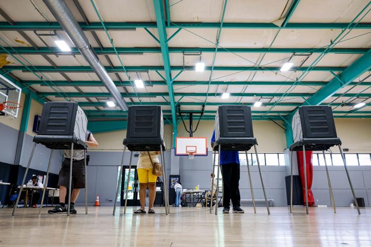 Election 2026 Noncitizen Voting