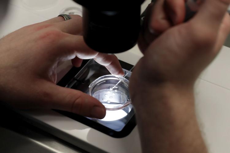 Trump IVF