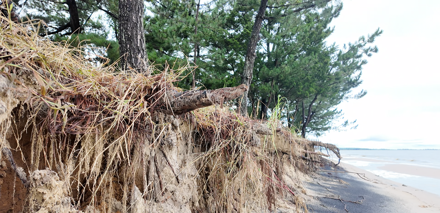 Nor’easter takes a toll on Bowers Beach shoreline | Latest News | wboc.com