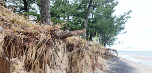 Nor’easter Storm Inflicts Widespread Damage on Bowers Beach Shoreline