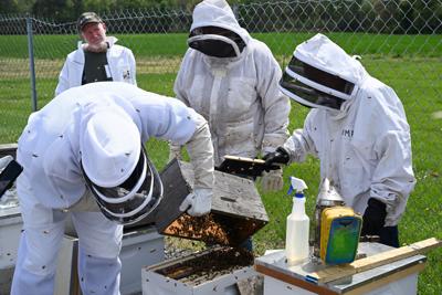 UMES Extension beekeeping workshop.jpg