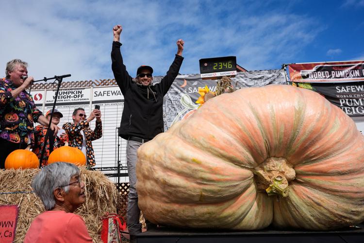 Giant Pumpkin Contest