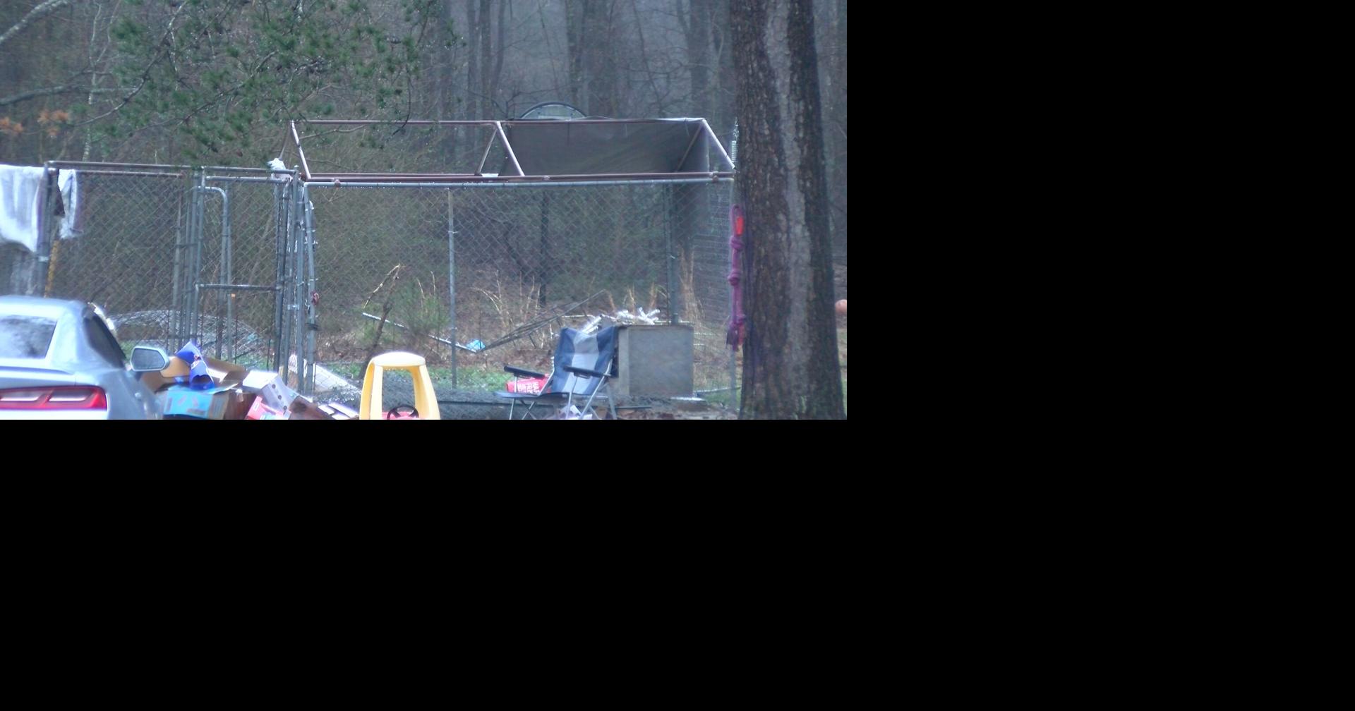 Violent Dog Attack in Sussex County Ended With a Dead Dog and One Man Hospitalized | Latest News