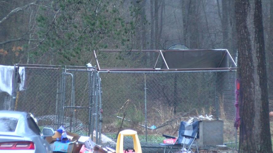 Dog Kennel