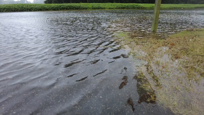 Flooded Roads in Accomack County
