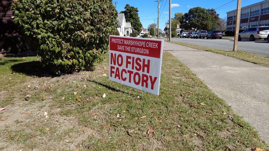 No Fish Factory