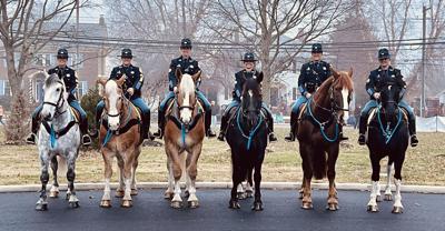 Delaware State Police Mounted Unit