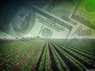 COVID-19 Relief Funding Announced for Md. Agriculture and Seafood Producers